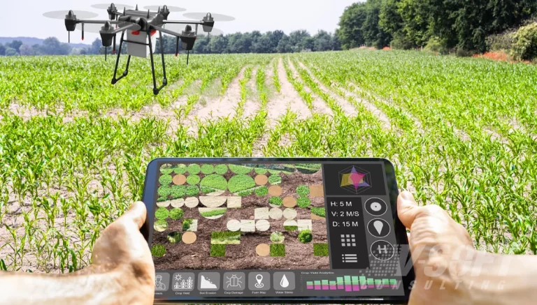 How Technology Is Transforming Agriculture